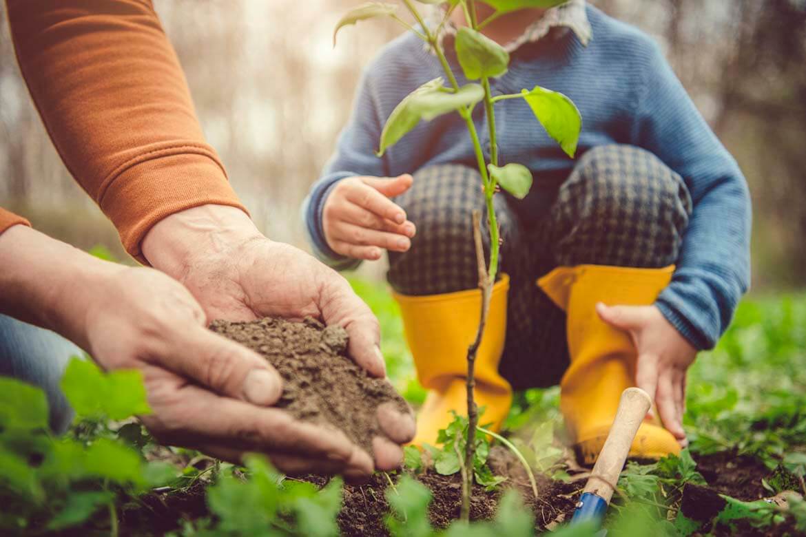 Family planting in the garden