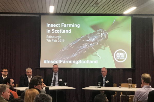Insect Farming in Scotland