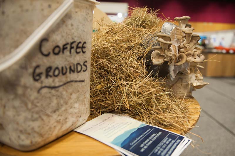 Photo of mushrooms and coffee grounds on a table