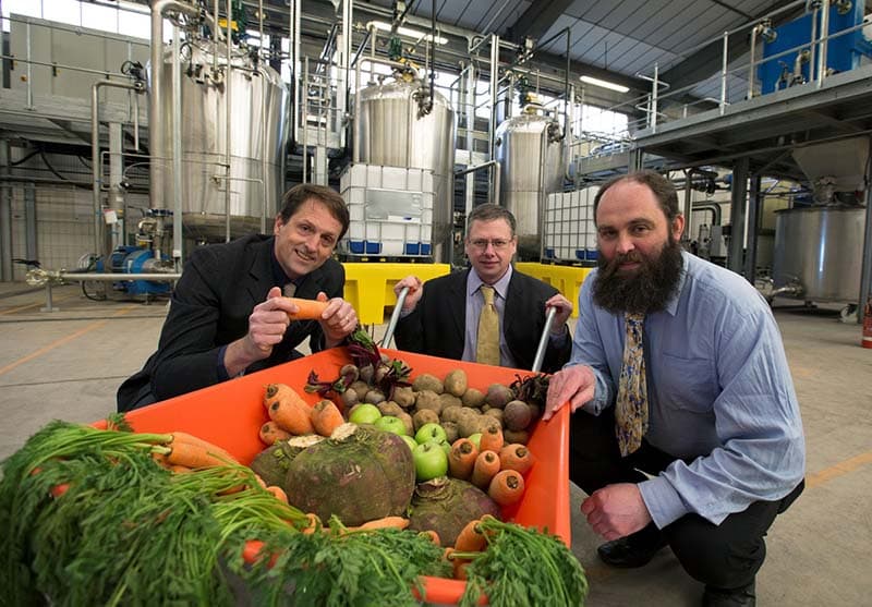 Photo of three men beside an orange wheel barrow full of root vegetables