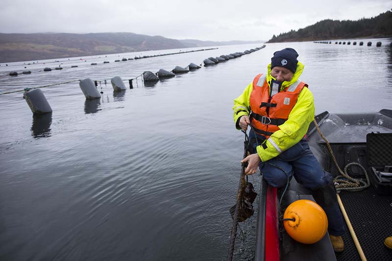 Photo of a person on a boat in Scotland pulling in a net