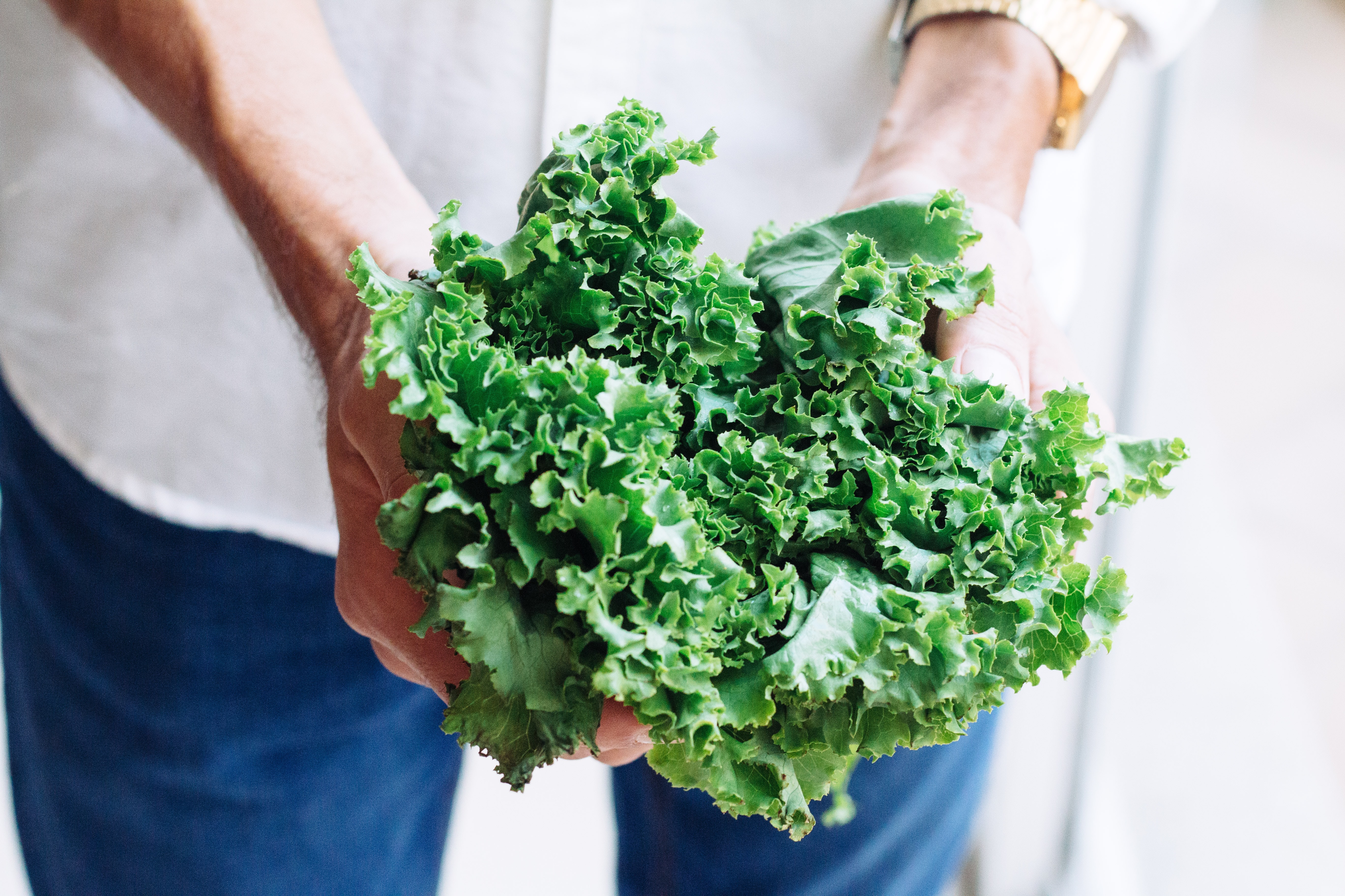 Sea kale